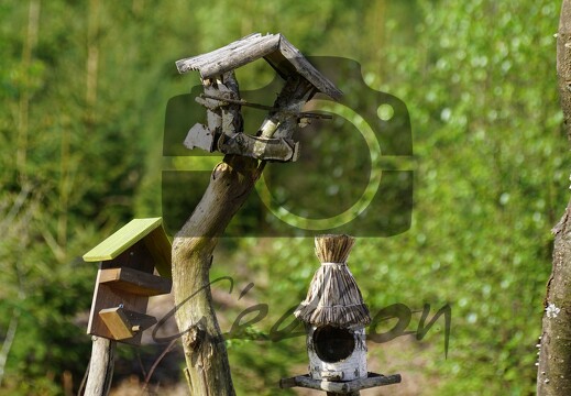 DSC08247