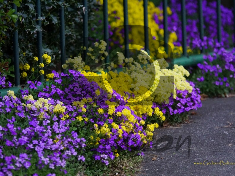 DSC00004