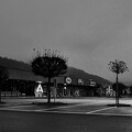 DSC05355