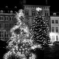 DSC05650
