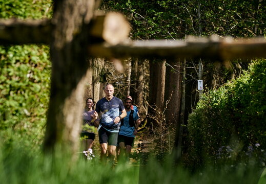Les Trails