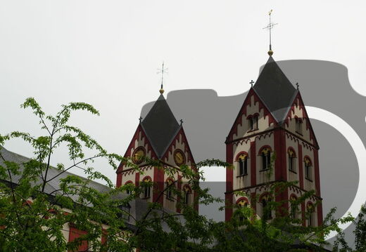 DSC01654