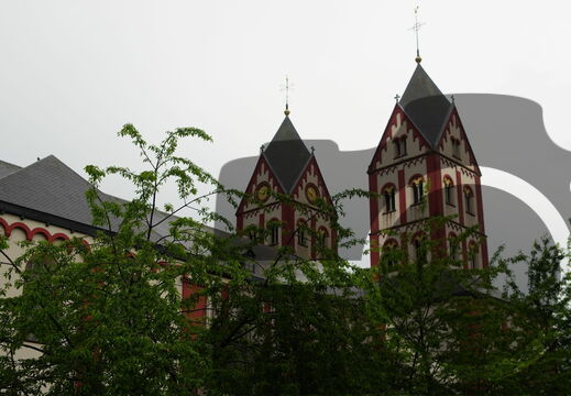 DSC01655