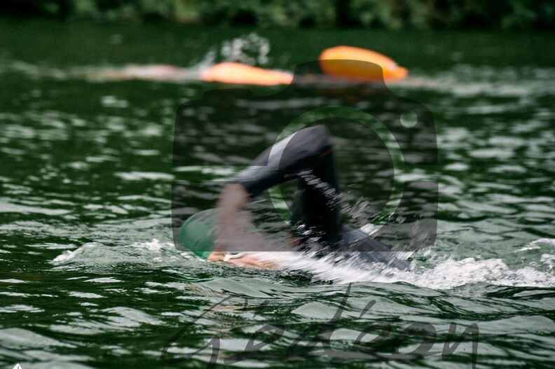 DSC_47.jpg