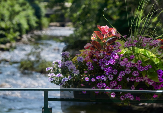 Evasion : nature, paysages, sites, visites, flore & faune...